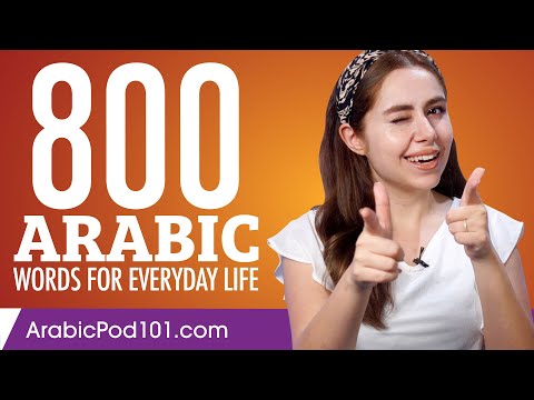 800 Arabic Words for Everyday Life - Basic Vocabulary #40