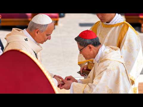 The cardinal who organizes and convenes a future conclave ...