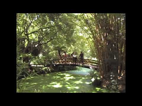 Californ - i-a - Champion Trees
