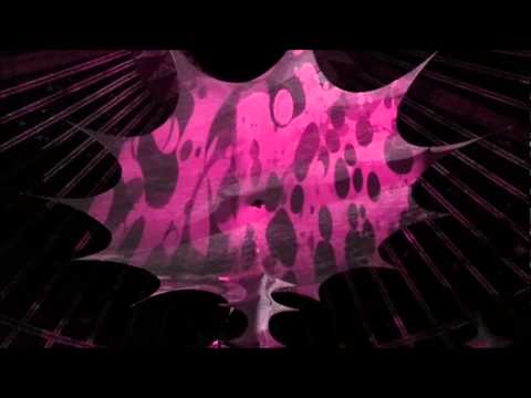 Spirit Base Fest 2011 ChillStage