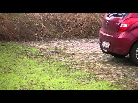 MongoTV_196 - Del 1 - Egnert Egon - Mit Liv Som Egern