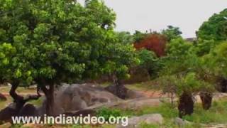 The group of monuments at Mahabalipuram