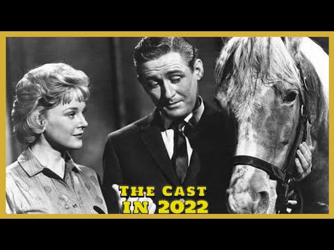 Mister Ed 1961-1966 Do you remember? Cast Then and Now - How they changed 2022