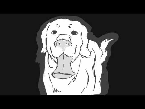 Solace - ANIMATION 1