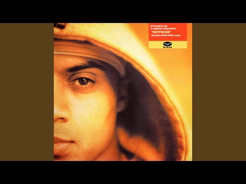 Hotness (Roni Size Remix)