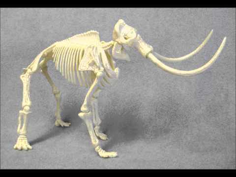 Video thumbnail for Wooly Mammoth Stomp