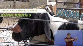 Miniatura do vídeo