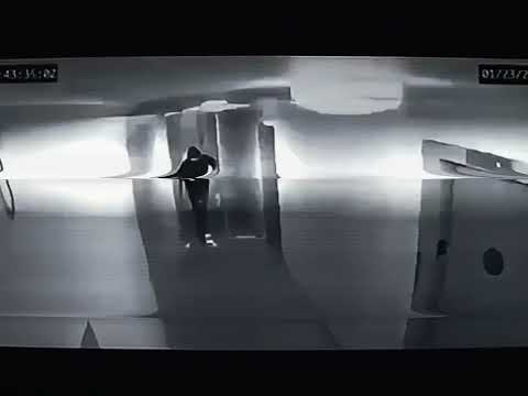 TOXIK Dementia Music Video