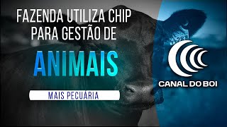 Miniatura do vídeo
