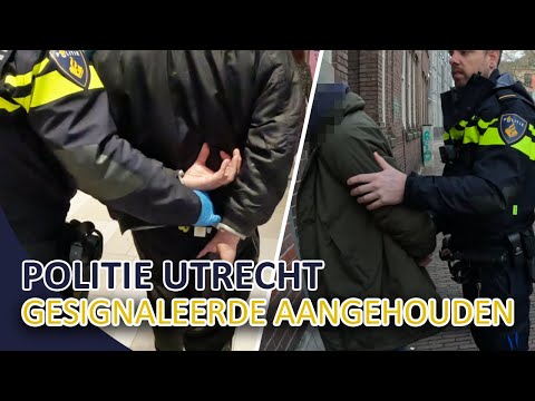Politie | Gesignaleerde aangehouden | Winkeldiefstal | Rijden onder invloed | Utrecht