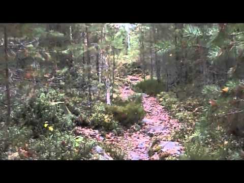 uus viikko & Uudet kujeet osa 2