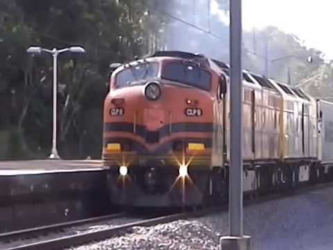 CLP11+CLP9=Carrington=Kotara.