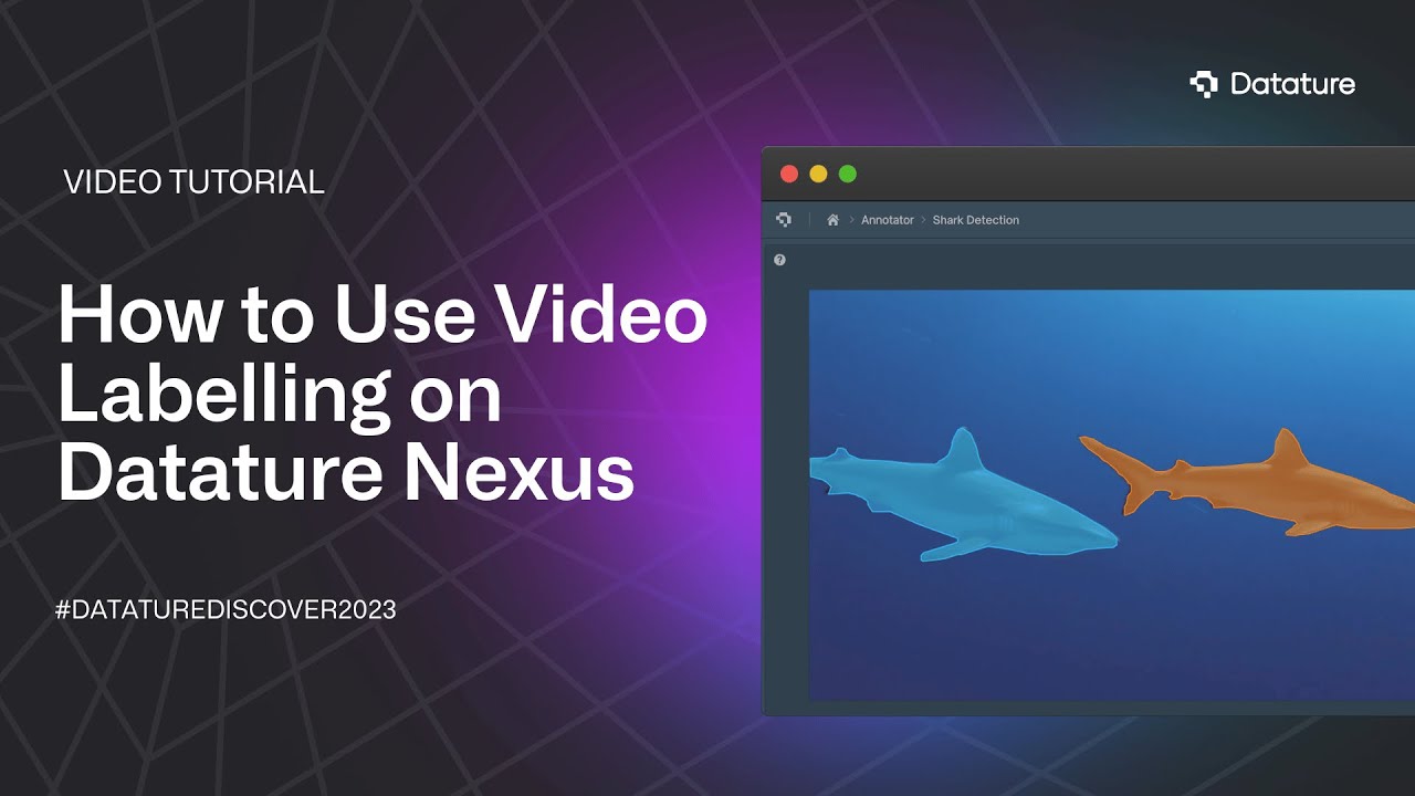 How to Annotate Your Video Data on Datature Nexus