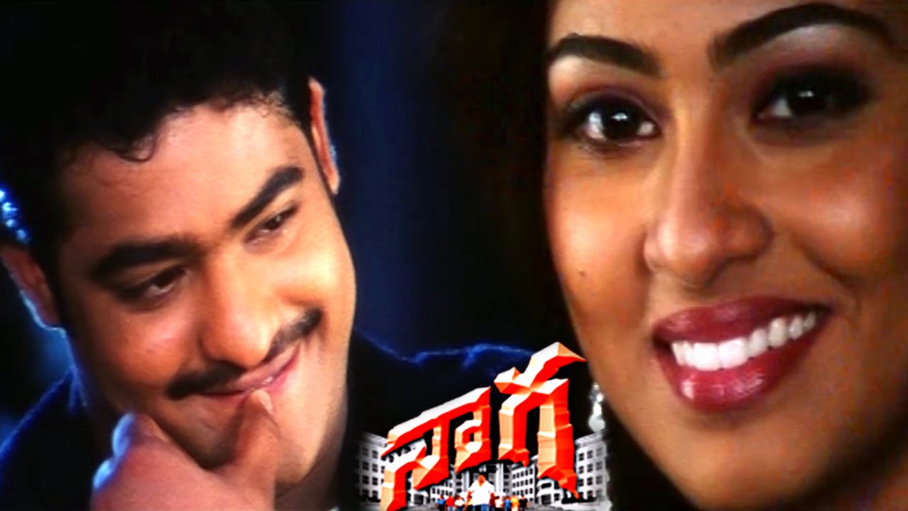 Oka Konte Pilla Lyrics  | Naaga | Junior NTR, Sada | Anuradha Sriram, Hariharan | Deva