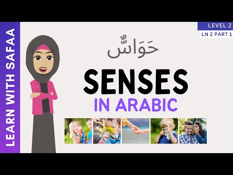 Learn Senses in Arabic  | Learn With Safaa | Level 2 : Ln 2 - Part 1