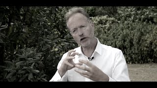 Talking Trees — Expert Sessions