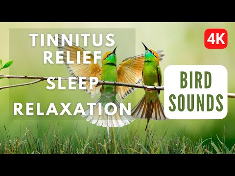 Birds Sounds for Tinnitus Relief, Sleep, Relaxation