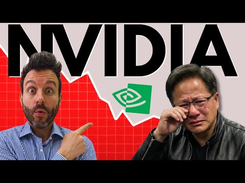 I'LL EXPLAIN WHY NVIDIA STOCK IS FALLING (despite excellent quarterly results)