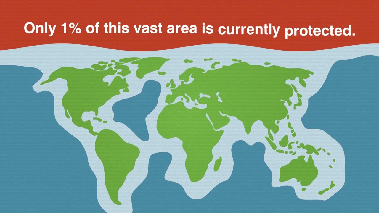 High Seas Treaty video