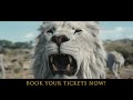 Brotherhood Tamil Mufasa The Lion King In Cinemas December 20
