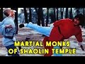 Wu Tang Collection - Martial Monks of Shaolin