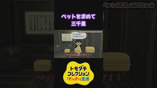 念願のペットが欲しくて箱を開けた結果…【トモダチコレクション わくわく生活】