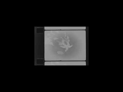 JSPHYNX - Reflex (2023) (Full Album)