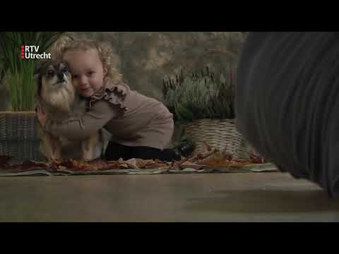 Vergeet de dierenselfie: het is tijd voor een écht portret [RTV Utrecht]