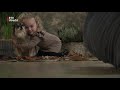 Vergeet de dierenselfie: het is tijd voor een écht portret [RTV Utrecht]