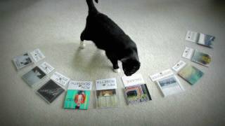 Cat Predicts 2011 Polaris Music Prize Winner