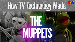 How TV Made The Muppets