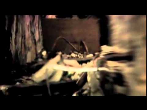 Black Company feat Adelaide Ferreira - Só Malucos