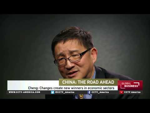 On China's economic future (2015)