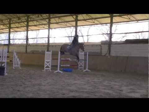 LAURE ET RIDJY D'ARGENT ... séance d'entrainement (17/02/2013)