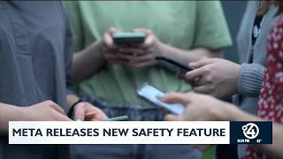 Meta releases new safety feature