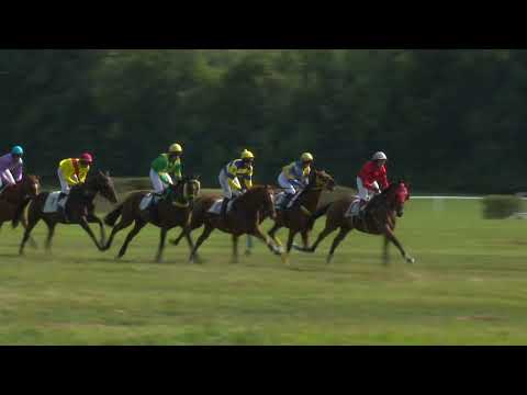 Dostihy Netolice 14. 8. 2022 - 7. dostih - Cena Agrokomplex Šumava s.r.o. 4. ročník