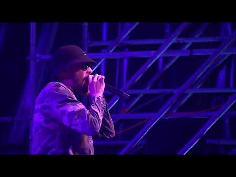 MILLION STYLEZ & The Island Defenders live @ Lion Stage 2017