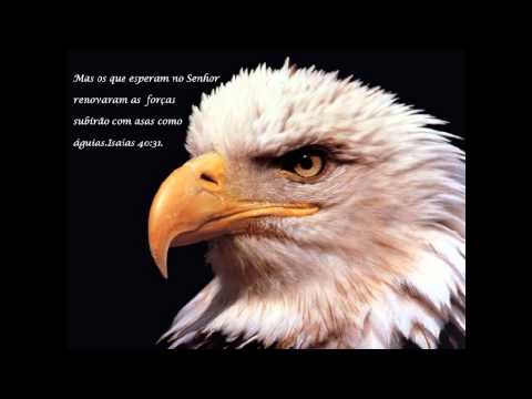 Espirito de Deus video