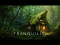 Tranquility - Deep Healing Relaxing Music - Meditation Ambient Music