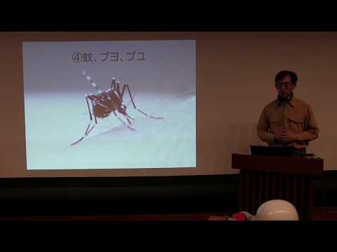 アオカケスを引き付けるにはどうすればよいですか？これらの鳥をあなたの庭に迎え入れるために、これらの 4 つの簡単な戦略を試してください。  庭園