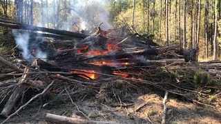 How to Light and Burn a Huge GREEN Brush Pile