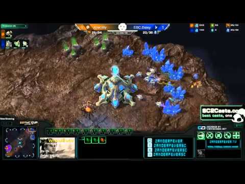 ESC.Daisy v Acer.Bly Game 3