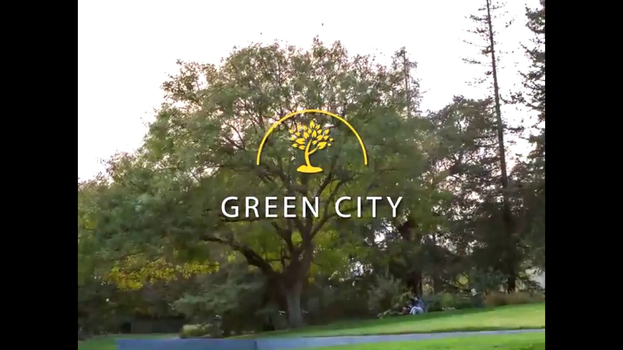 CUBE Consultants 7 Principles