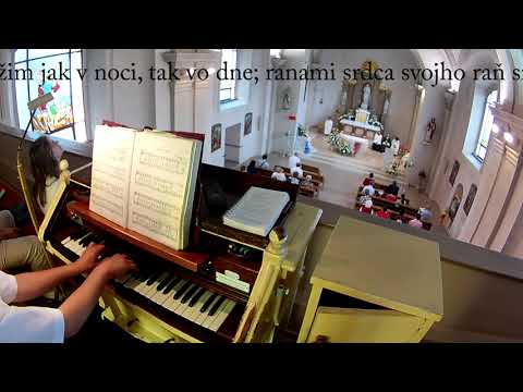 JKS 278 - Ó, láska, nádej, spása