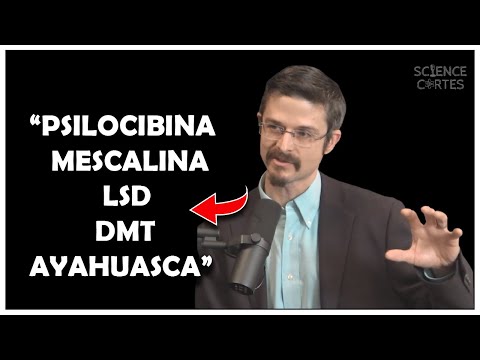 O QUE SÃO PSICODÉLICOS? QUAIS OS PRINCIPAIS TIPOS? |PODCAST LEGENDADO