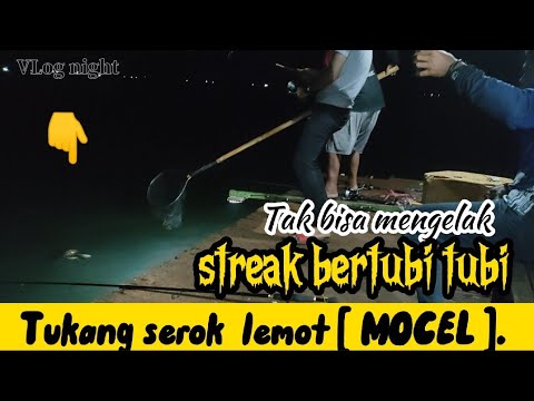 streak bertubi tubi -+ Tukang serok lemot % yang besar mocel