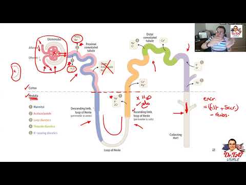 DR TA7: RENAL PHARMACOLOGY 1