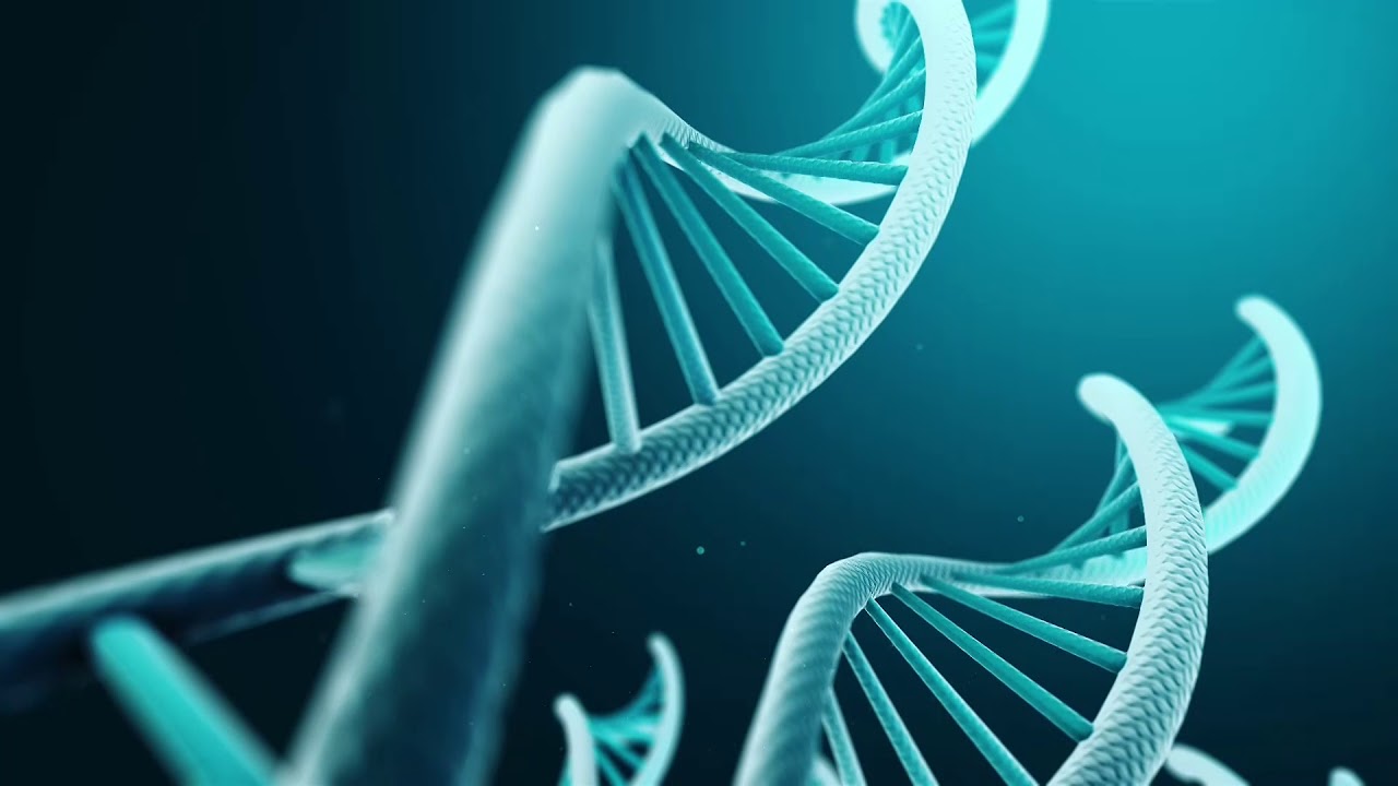 Gene Testing for Genetic Cancer, Up to 90% Detection Rate