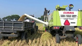 ভিডিও গ্যালারি