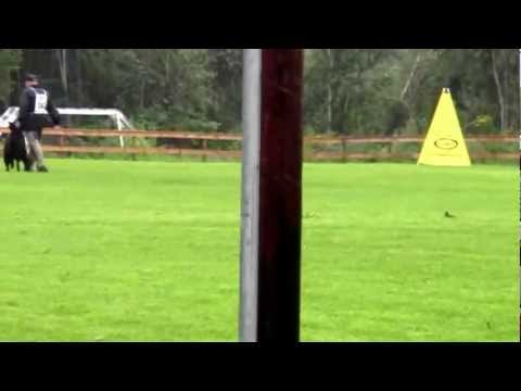 schh nm 2012 henriette vom luberg gruppe c